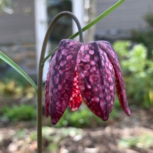 Meet your Posher, Magali